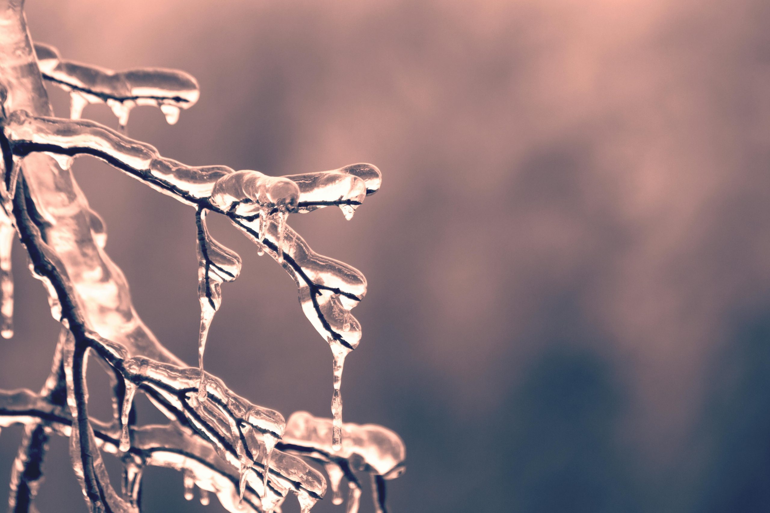 how-to-move-out-of-functional-freeze-and-reconnect-with-your-body-after-sexual-trauma How to move out of functional freeze and reconnect with your body after sexual trauma